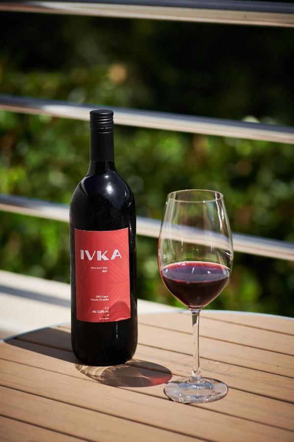 Ivka 3*